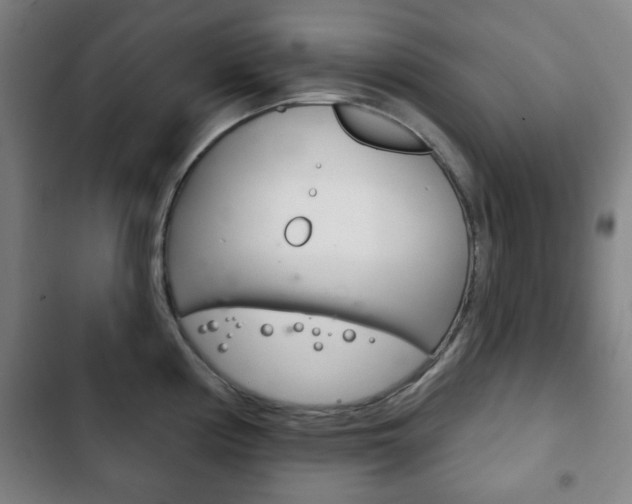 X0000103401194200809120916