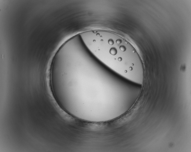 X0000103401195200809120916