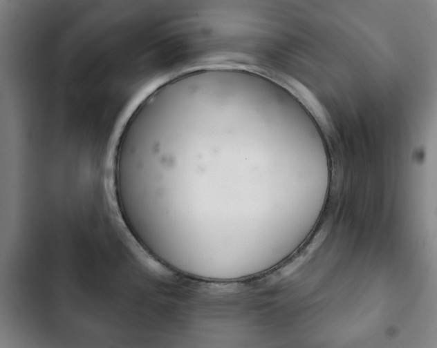 X0000103401196200809120916