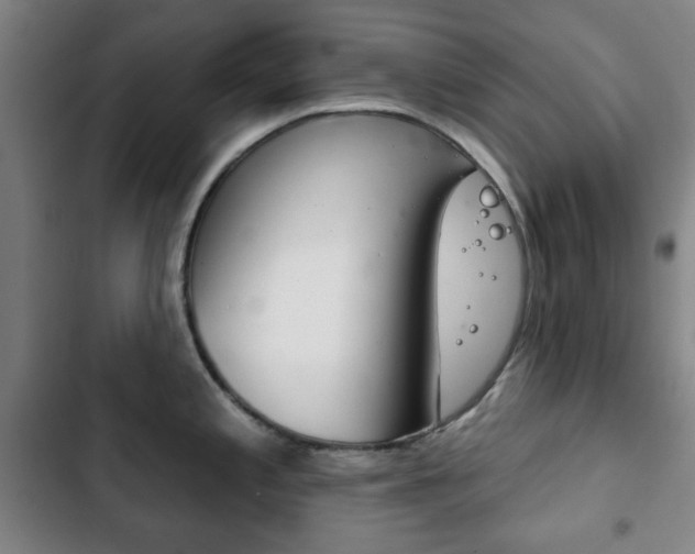 X0000103401197200809120916