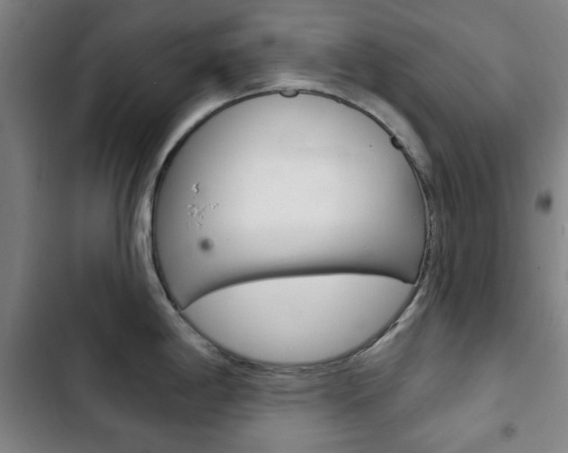 X0000103401198200809120916