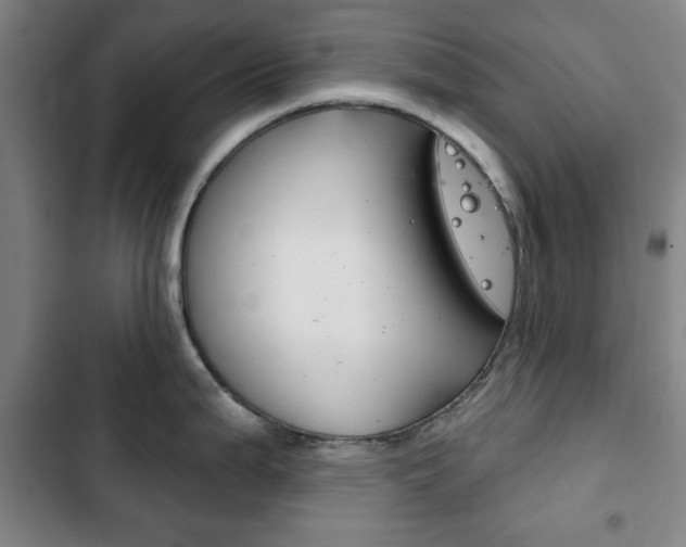 X0000103401199200809120916