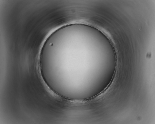 X0000103401200200809120916