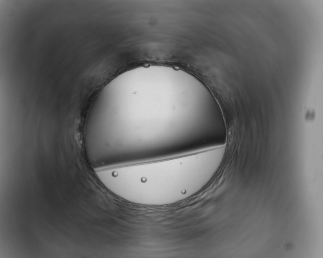 X0000103401202200809120916