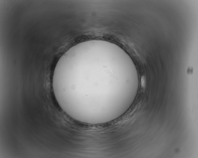 X0000103401203200809120916