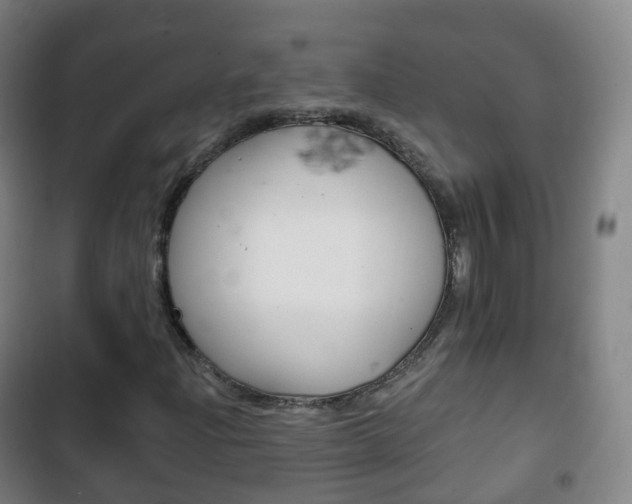 X0000103401204200809120916