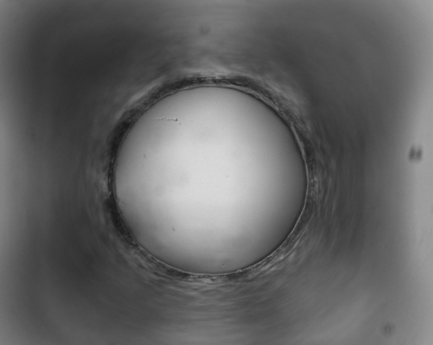 X0000103401205200809120916