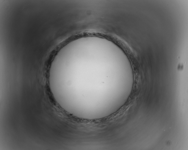 X0000103401207200809120916