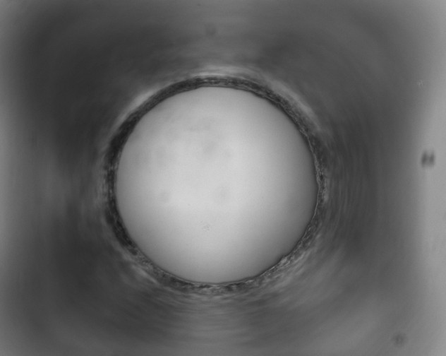 X0000103401208200809120916