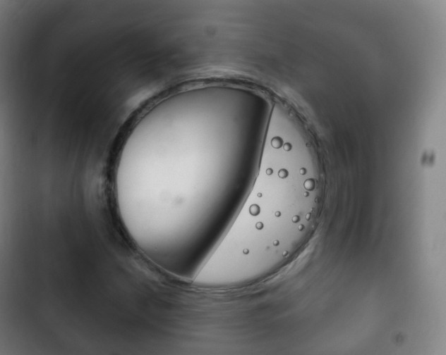 X0000103401210200809120916