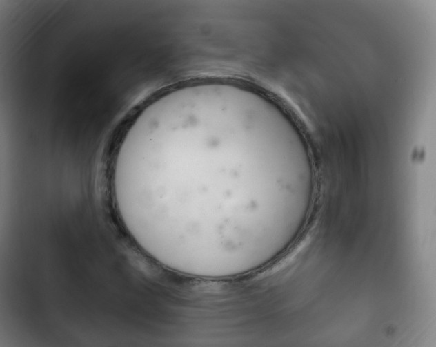 X0000103401211200809120916