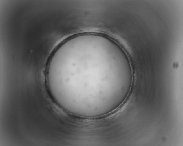 X0000103401212200809120916