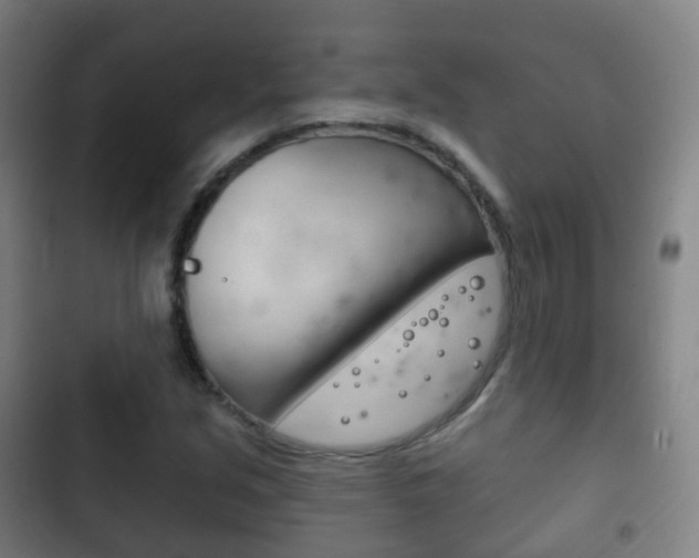 X0000103401213200809120916