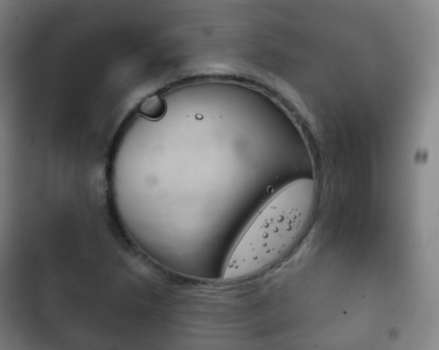 X0000103401218200809120916