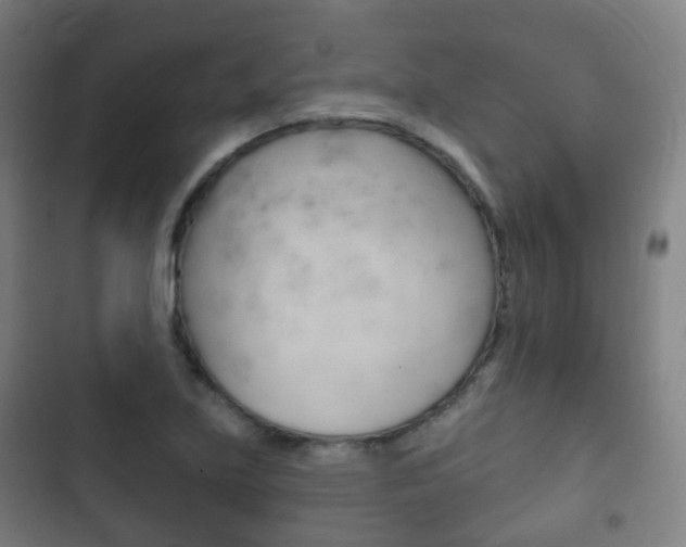 X0000103401219200809120916