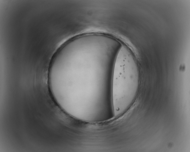 X0000103401220200809120916