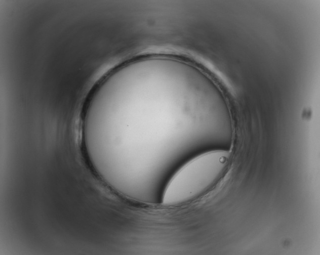 X0000103401221200809120916