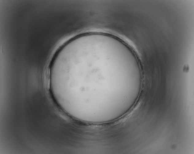 X0000103401223200809120916