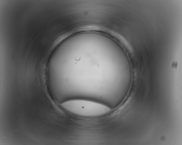 X0000103401225200809120916
