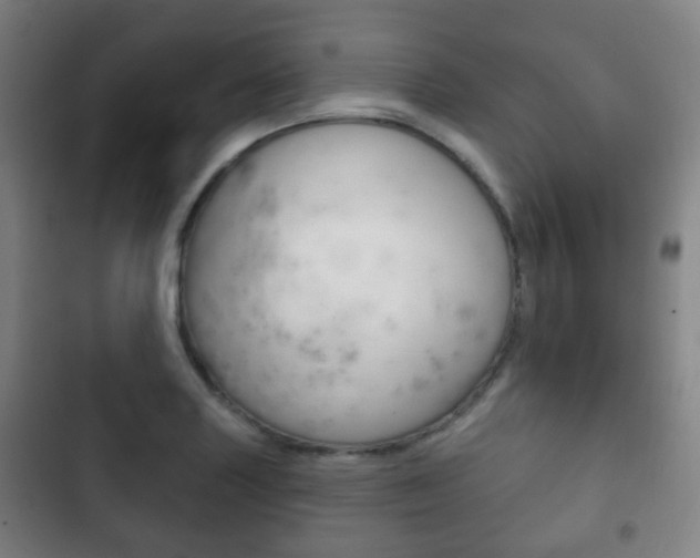 X0000103401227200809120916