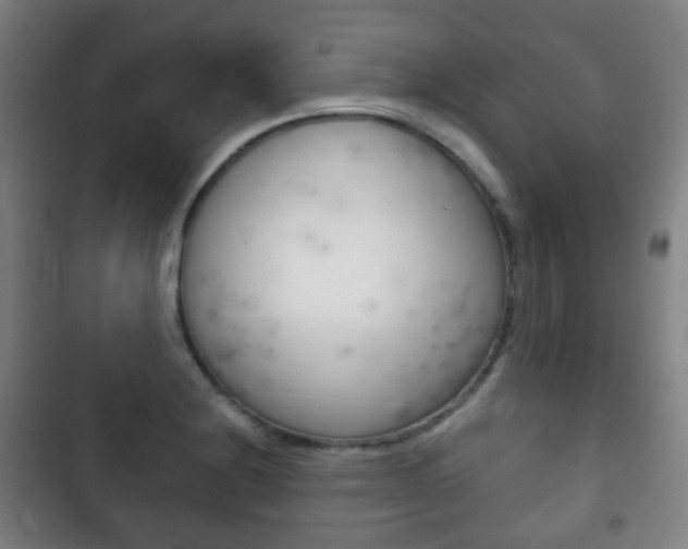 X0000103401228200809120916