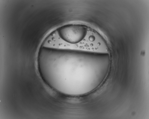 X0000103401229200809120916