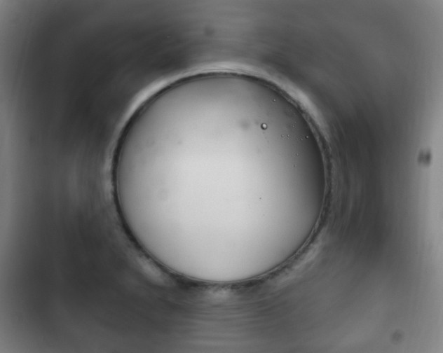 X0000103401230200809120916