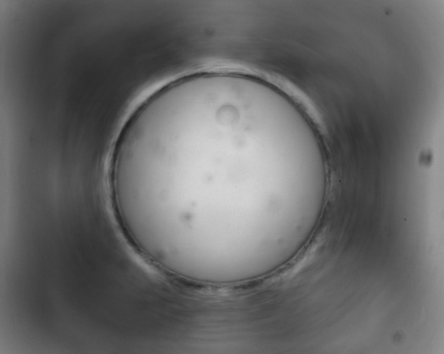 X0000103401231200809120916