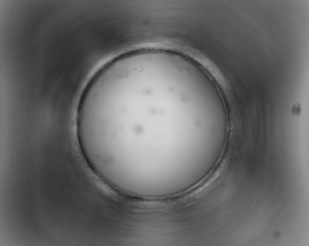 X0000103401232200809120916