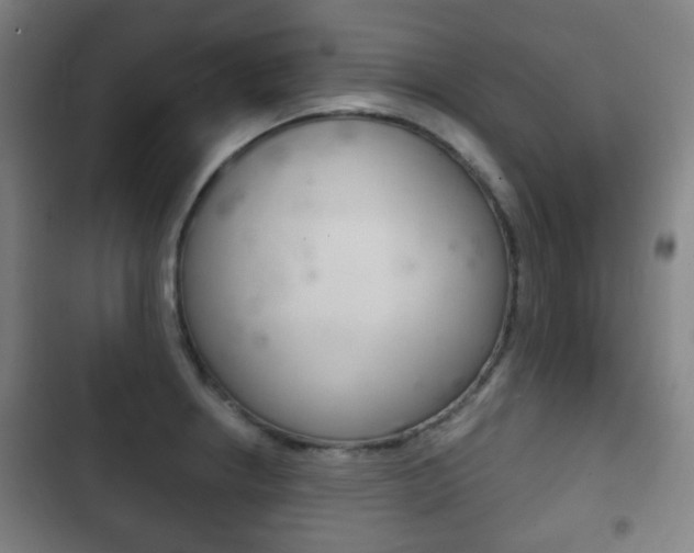 X0000103401234200809120916
