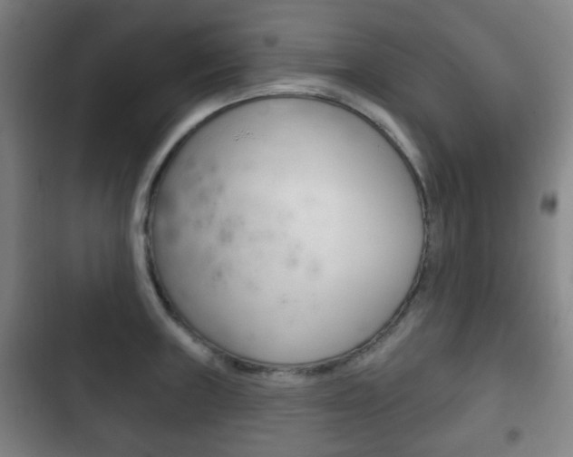 X0000103401235200809120916