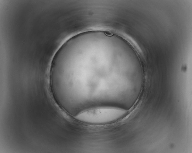 X0000103401236200809120916