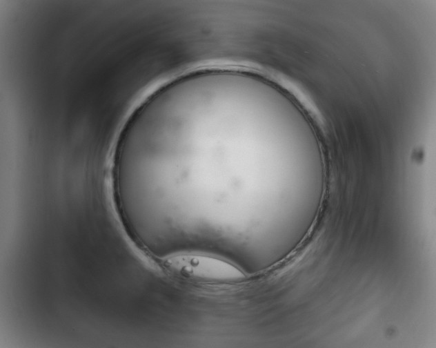 X0000103401237200809120916