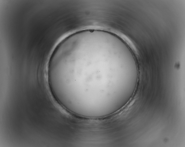 X0000103401238200809120916