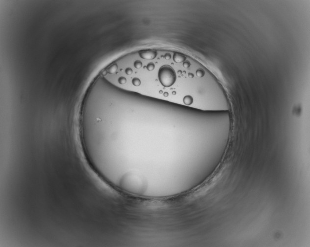 X0000103401239200809120916