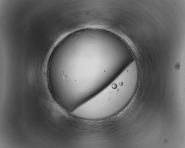 X0000103401240200809120916