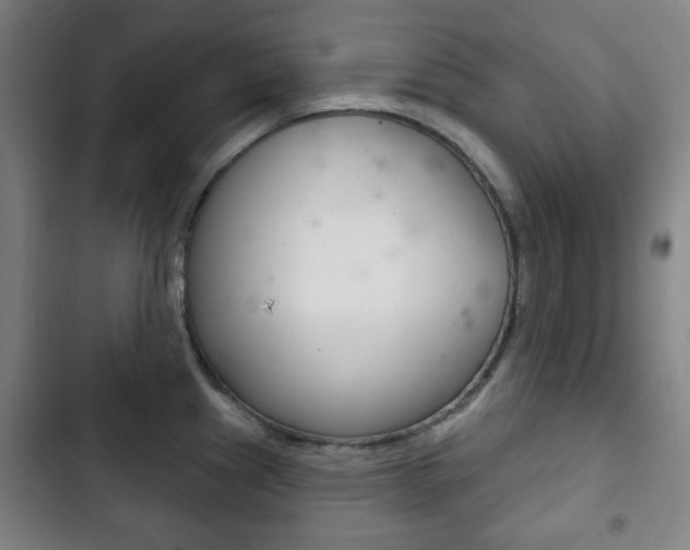 X0000103401241200809120916