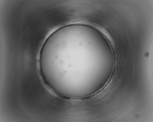 X0000103401242200809120916