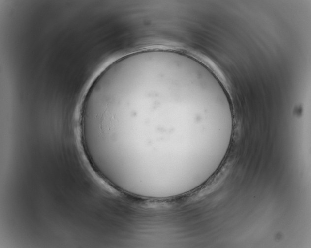 X0000103401243200809120916