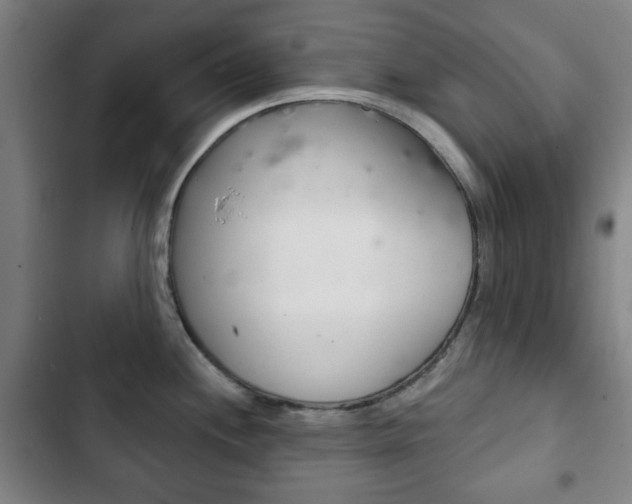 X0000103401244200809120916