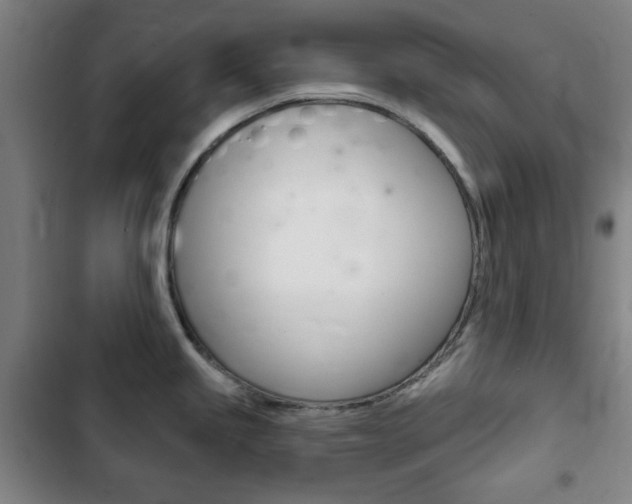 X0000103401245200809120916