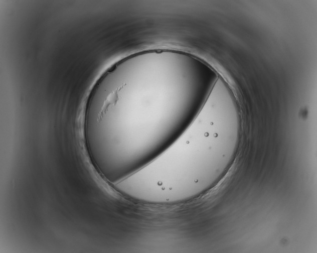 X0000103401246200809120916