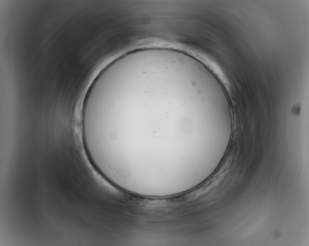 X0000103401247200809120916