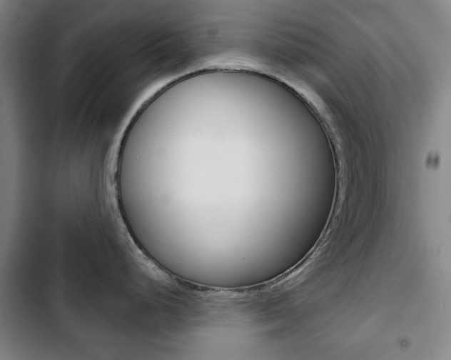 X0000103401248200809120916
