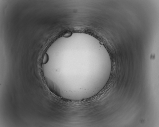 X0000103401249200809120916