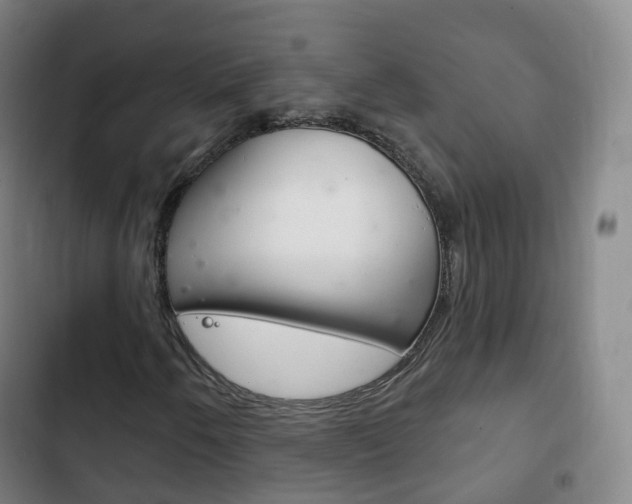 X0000103401250200809120916