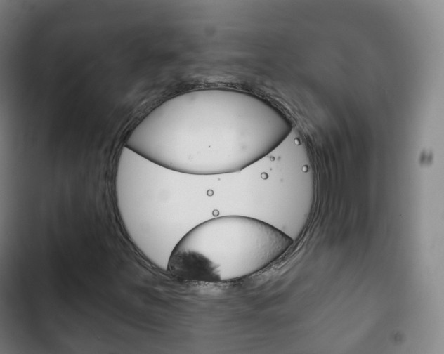 X0000103401251200809120916