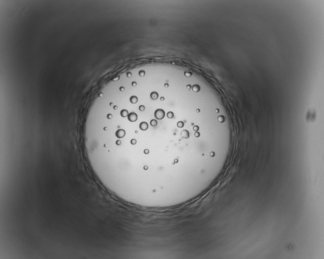 X0000103401253200809120916