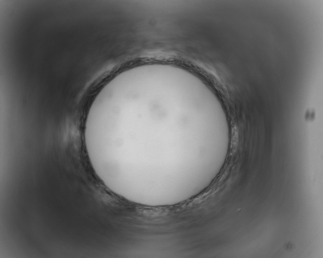 X0000103401254200809120916