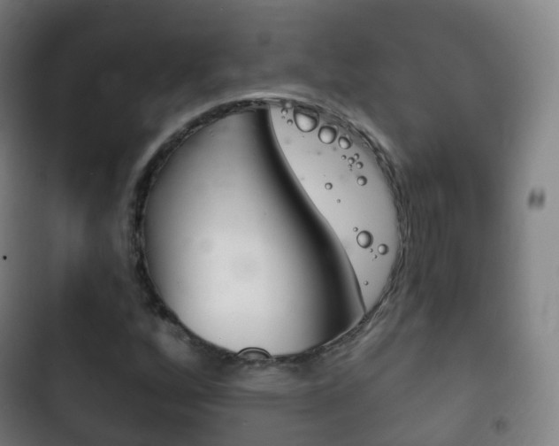 X0000103401256200809120916